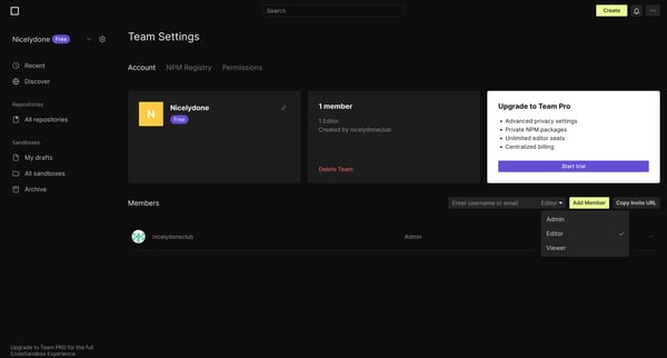 Team Settings - CodeSandbox screen