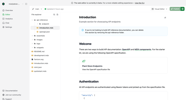 Editor - Mintlify screen