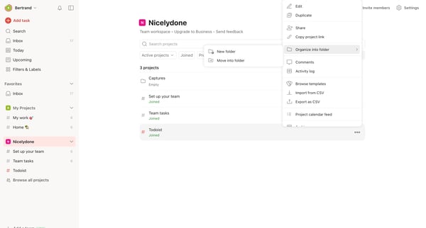 Nicelydone – Todoist screen