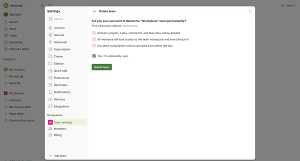 Delete team – Settings – Todoist from Todoist