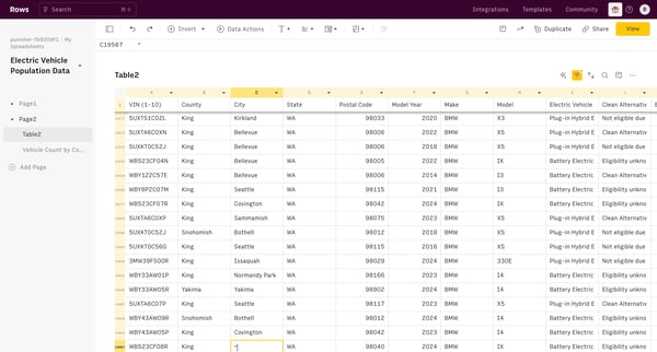 Electric Vehicle Population Data screen