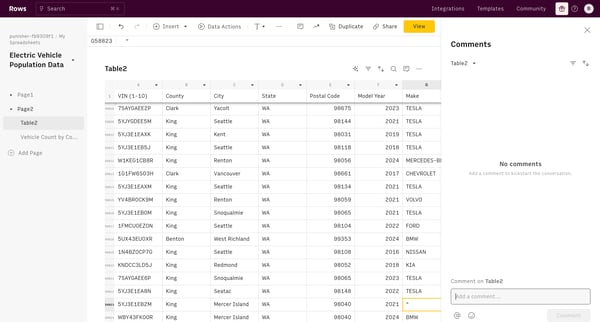 Electric Vehicle Population Data screen