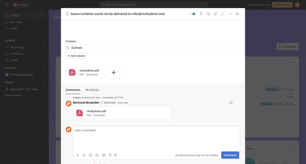 Home - Asana invitation could not be delivered to mike@nicelydone screen