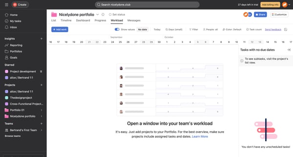 Nicelydone portfolio - Asana screen