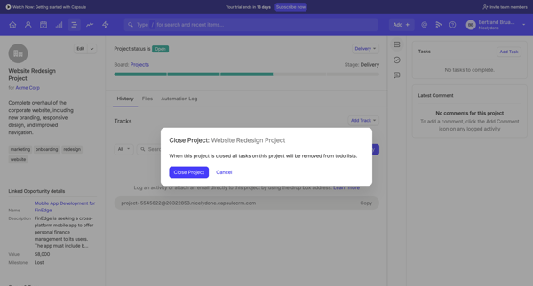 Website Redesign Project | Nicelydone CRM screen