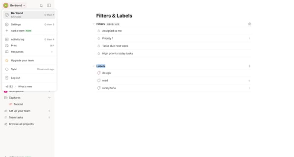 Filters | Labels – Todoist screen