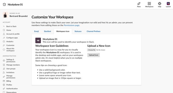 Team Icon | Nicelydone 01 Slack screen