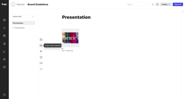 Brand Guidelines: Presentation screen
