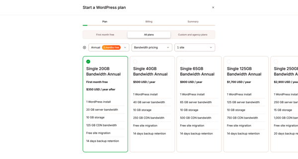 Company - MyKinsta screen