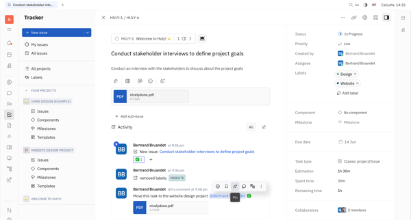 Conduct stakeholder interviews to define project goals - Nicelydone screen