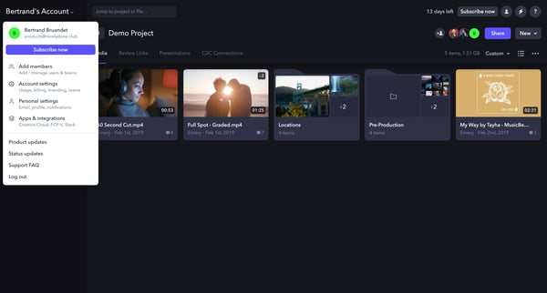 Demo Project - Frame.io screen