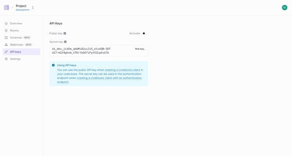 Project Development | API Keys screen