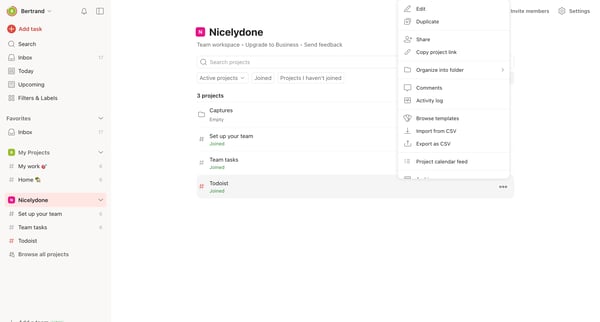 Nicelydone – Todoist screen