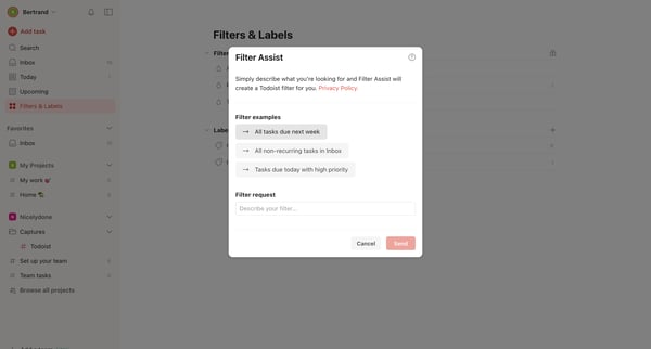 Filters | Labels – Todoist screen