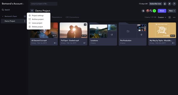 Demo Project - Frame.io screen