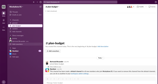 plan-budget Channel - Nicelydone 01 - Slack screen