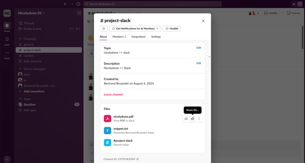 project-slack Channel - Nicelydone 01 - Slack screen