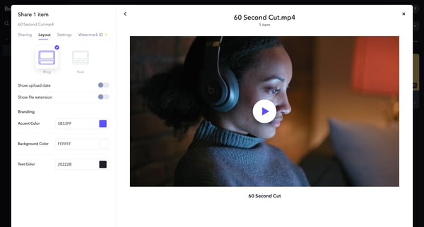 Demo Project - Frame.io screen