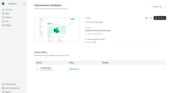 Dashboard - Mintlify screen