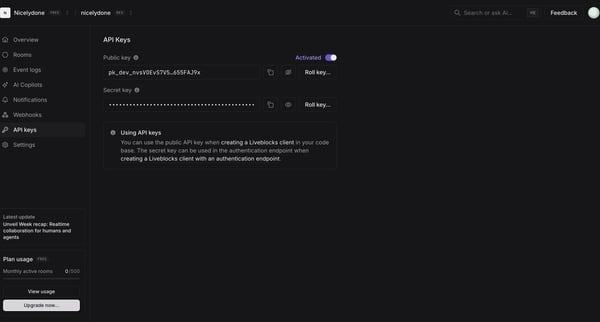 nicelydone (Development) | nicelydone (Development) | API Keys screen