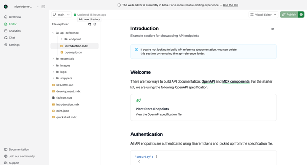 Editor - Mintlify screen