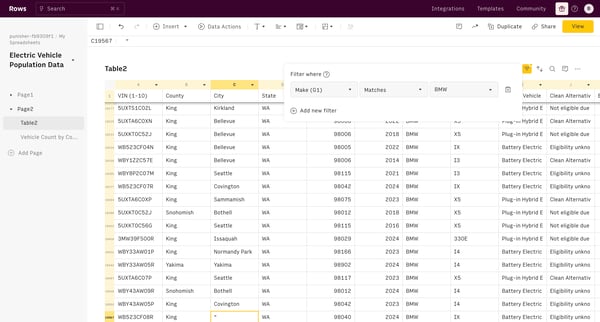Electric Vehicle Population Data screen