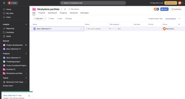 Nicelydone portfolio - Asana screen