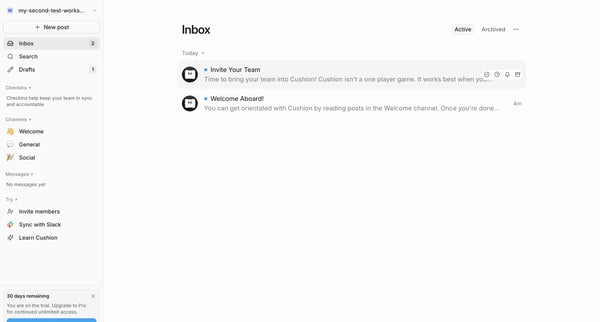 Cushion screen