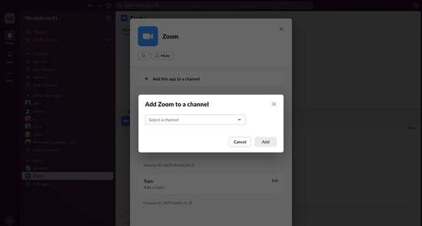 Zoom DM - Nicelydone 01 - Slack screen