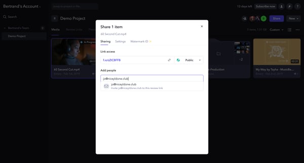 Demo Project - Frame.io screen