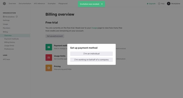 Billing overview - OpenAI API screen