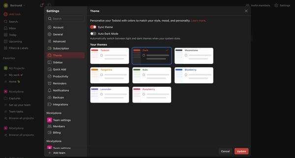 Theme – Settings – Todoist screen