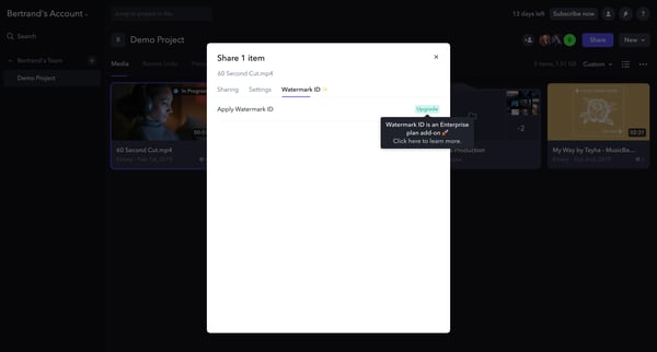 Demo Project - Frame.io screen