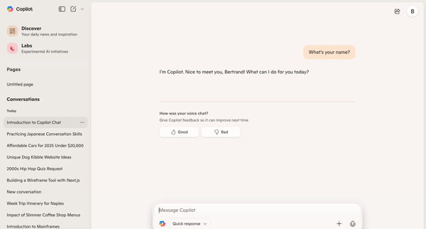 Microsoft Copilot: Your AI companion screen