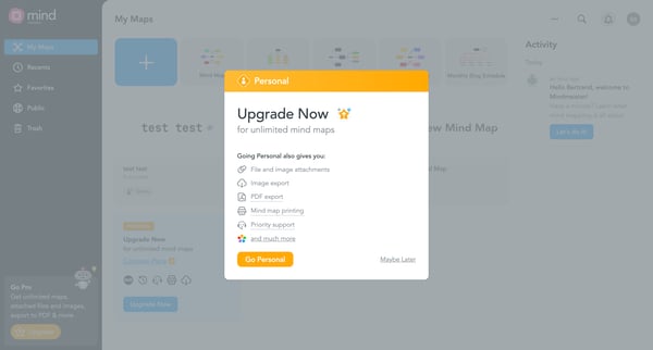 Mind Mapping Software Mind Maps | MindMeister screen