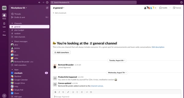 general Channel - Nicelydone 01 - 1 new item - Slack screen