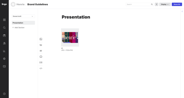 Brand Guidelines: Presentation screen