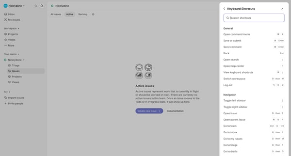 Nicelydone › Active issues from Linear