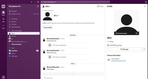 alice DM - Nicelydone 01 - Slack from Slack
