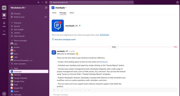 standuply DM - Nicelydone 01 - Slack screen