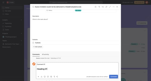 Home - Asana invitation could not be delivered to mike@nicelydone screen