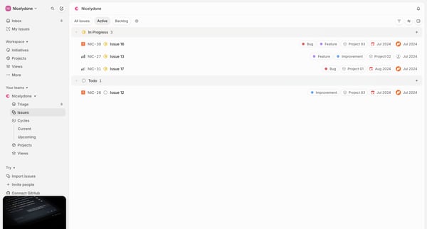 Nicelydone › Active issues from Linear