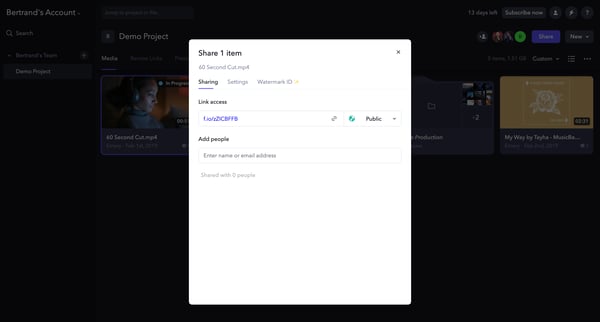 Demo Project - Frame.io screen