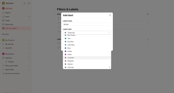 Filters | Labels – Todoist from Todoist