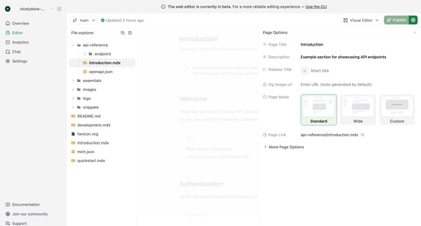 Editor - Mintlify screen