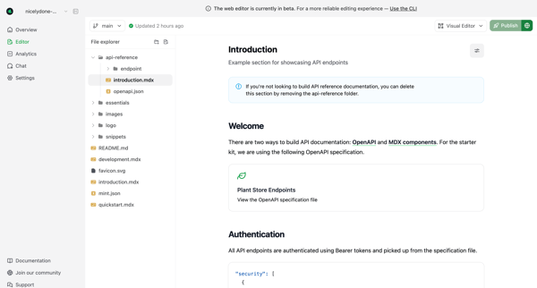 Editor - Mintlify screen