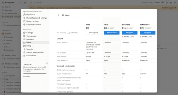 AI from Notion