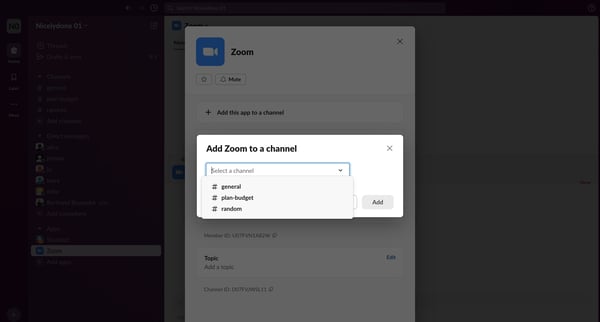 Zoom DM - Nicelydone 01 - Slack screen