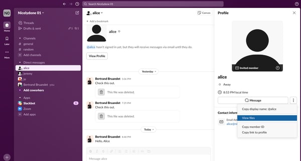 alice DM - Nicelydone 01 - Slack from Slack