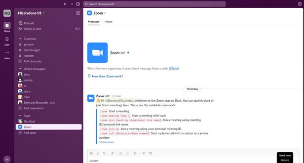 Zoom DM - Nicelydone 01 - Slack screen